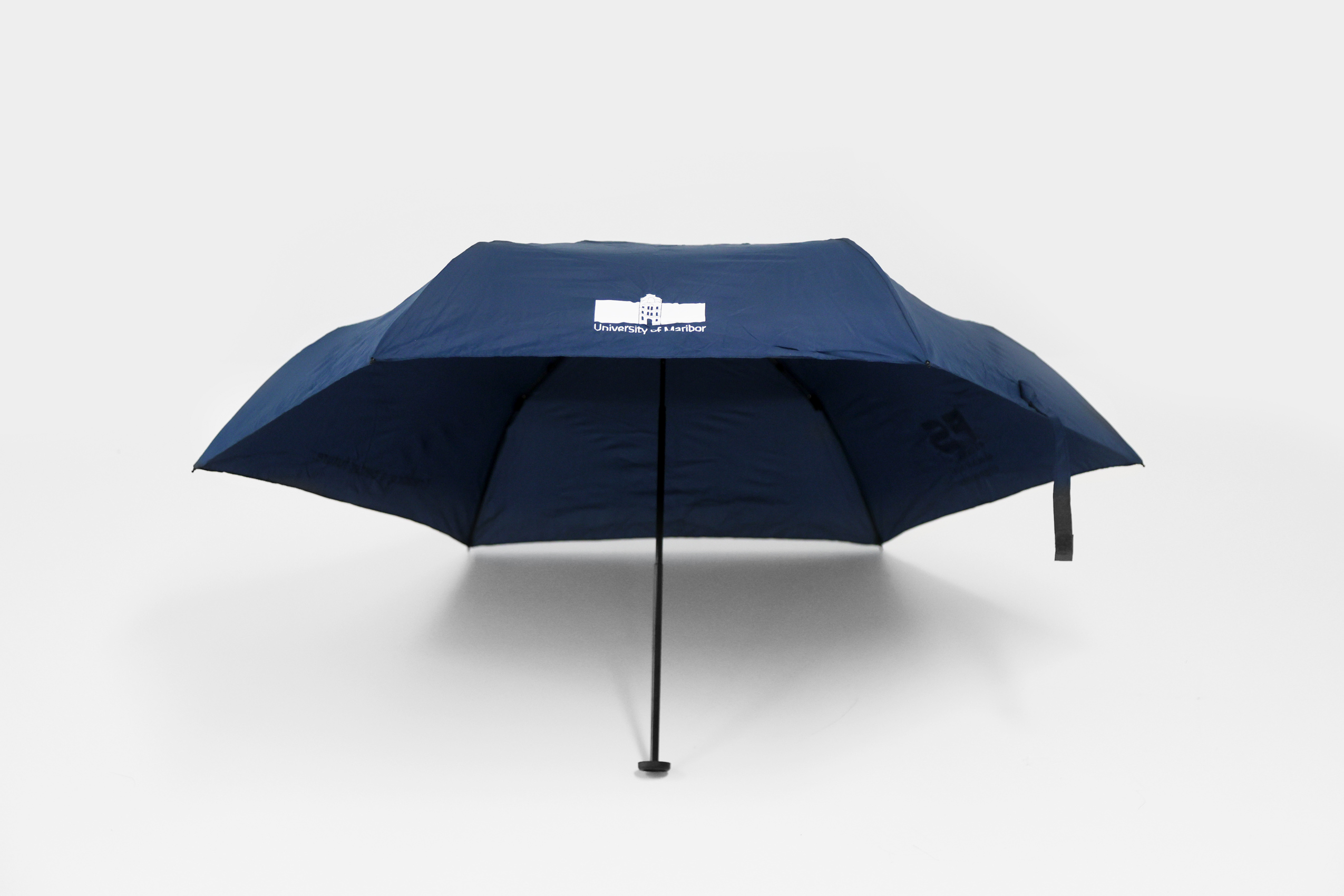 Deznik moder GB 03.jpg