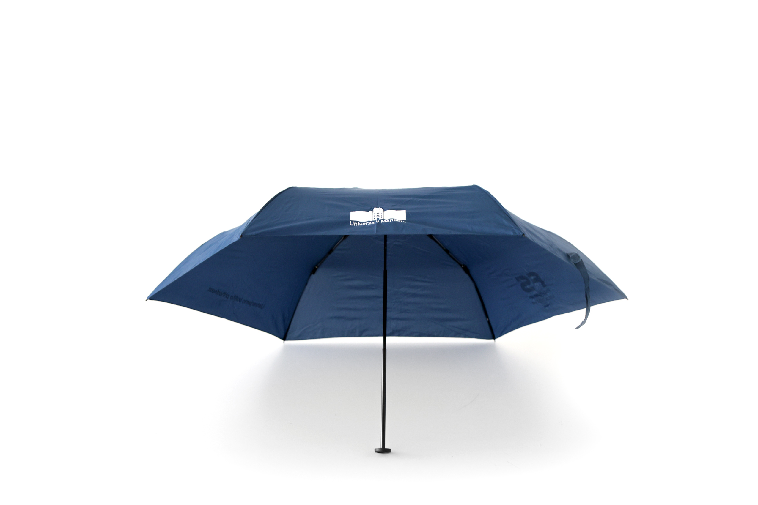 Deznik moder SLO 04.jpg